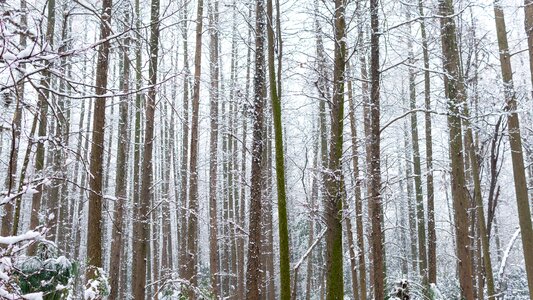 Snow park hangzhou