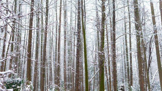 Snow park hangzhou photo