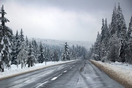 Landscape snow trip