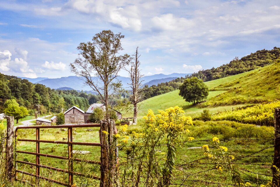 Meadow countryside rural