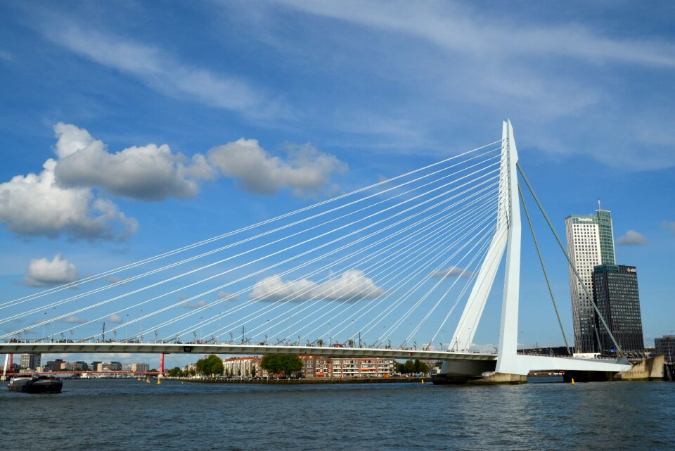 Water city rotterdam