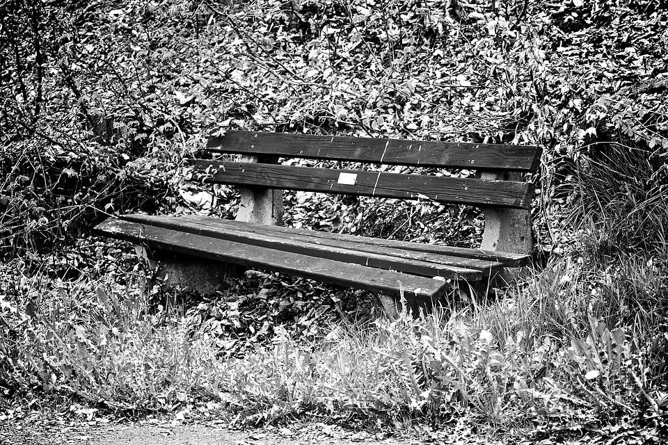 Germany park bench black and white