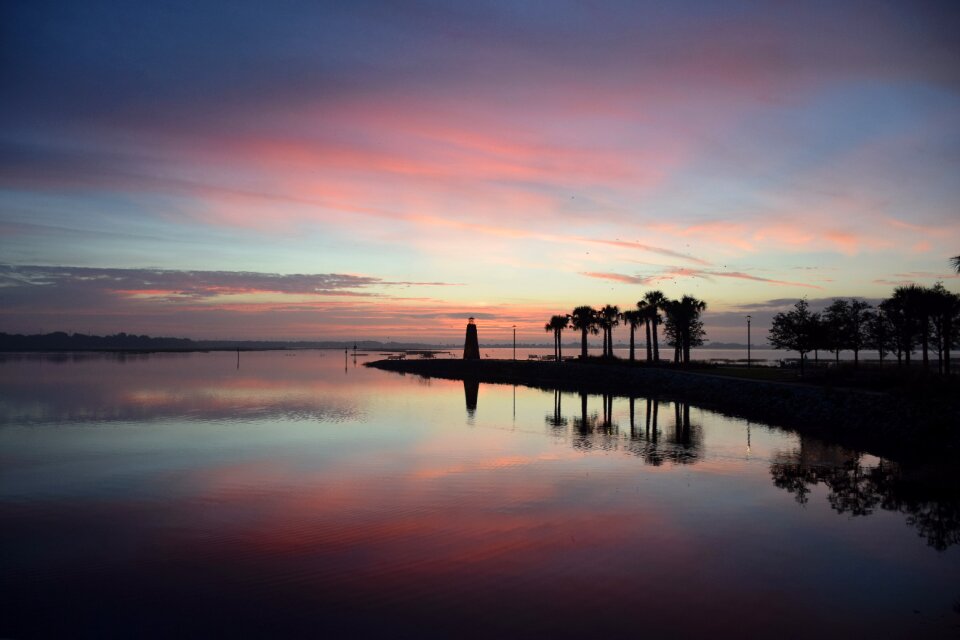 Palm trees lake lake toho