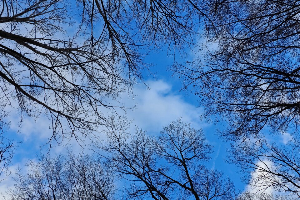 Landscape clouds scenic