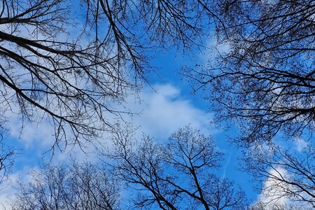 Landscape clouds scenic