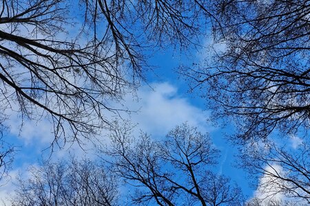 Landscape clouds scenic photo