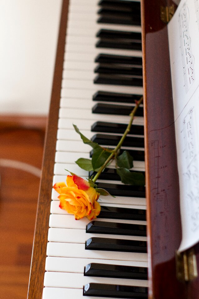 Piano romantic instrument