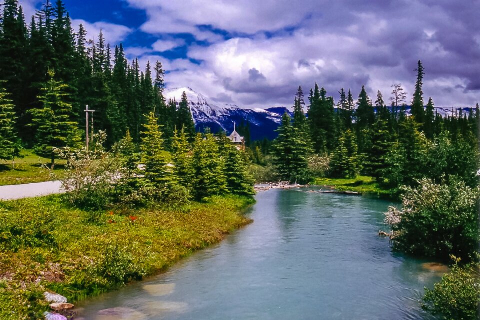 Rockies canada