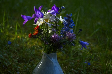 Rural spring love