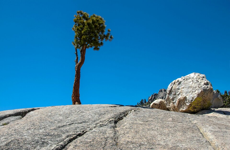 Tioga pass usa yosemite