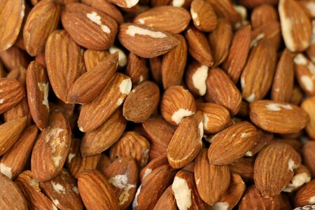 Nutrition snack