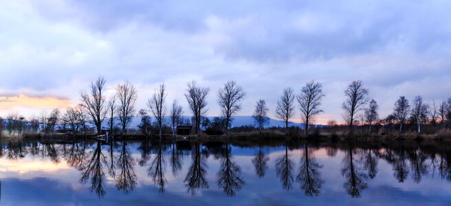 Trees mirroring waters photo