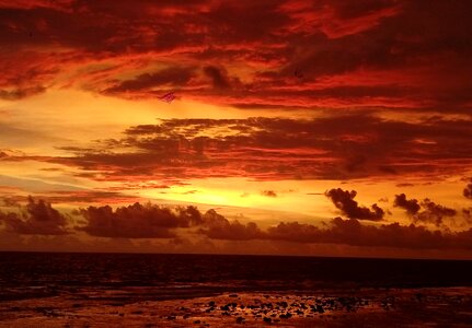 Evening golden beautiful