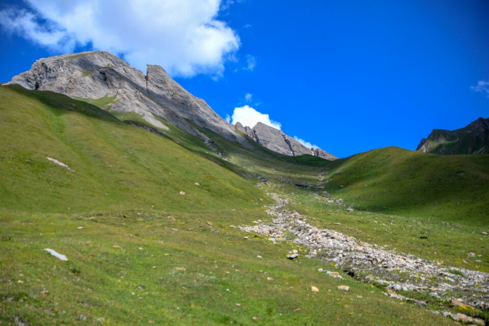 Alps landscape summer