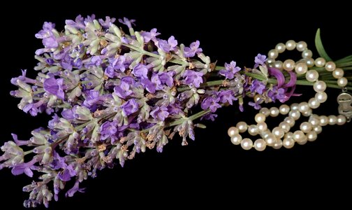 Garden nature pearls