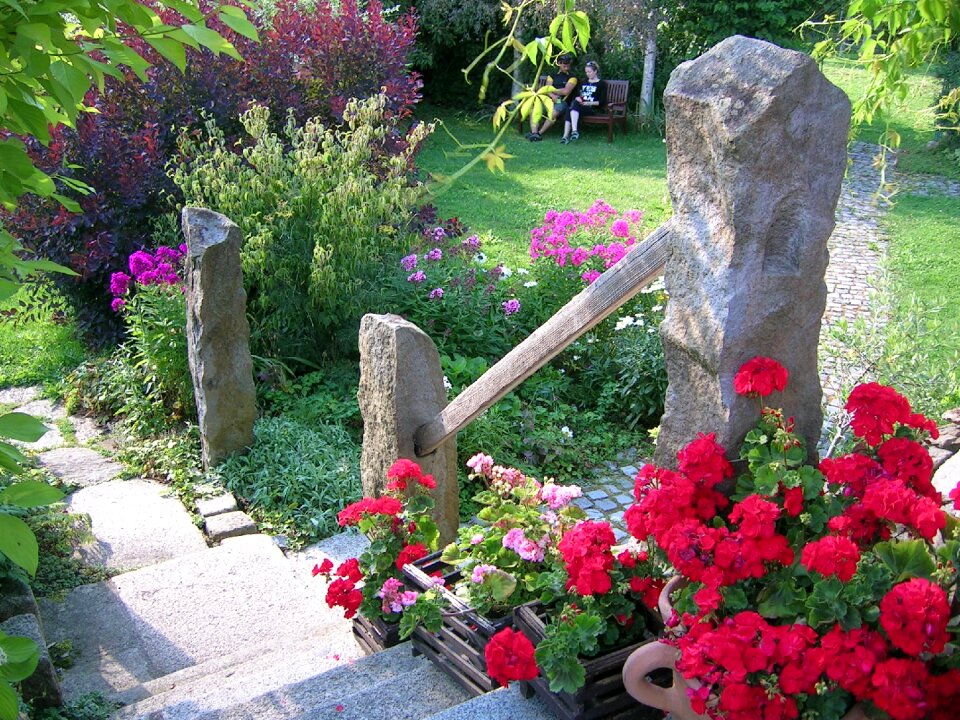 Flowers plant the wayside