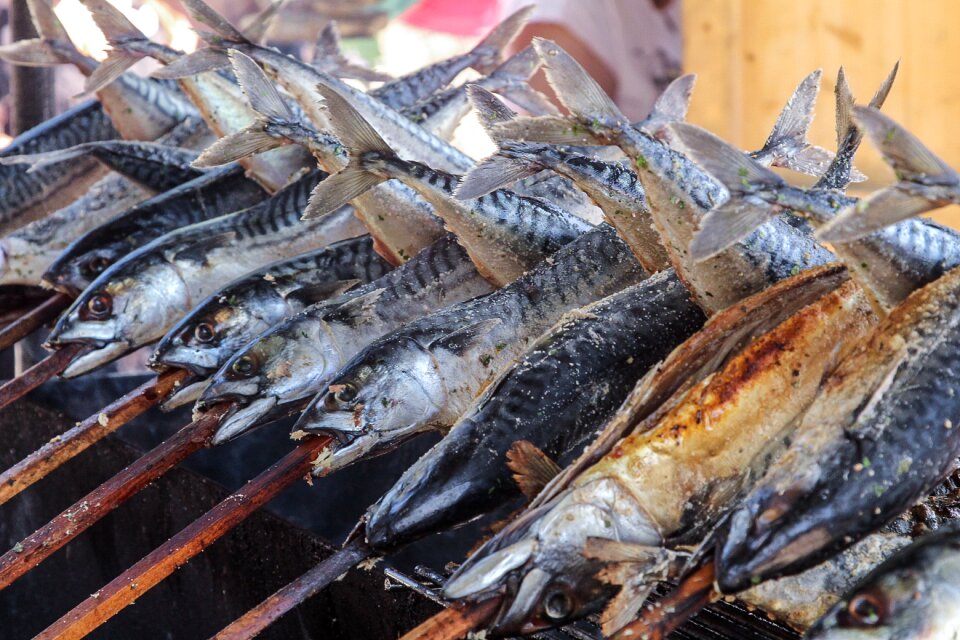 Smoked trout food eat
