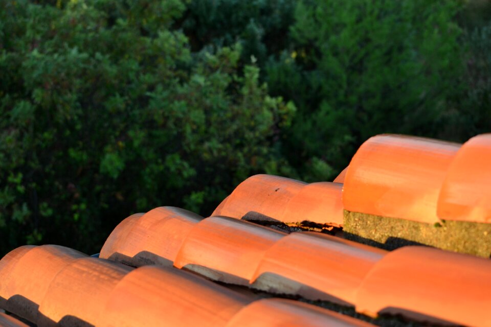 Sol contrast orange
