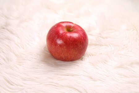 Fresh and adverb food