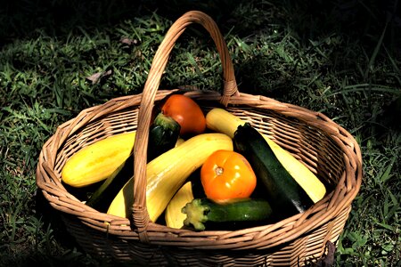 Vegetables fall autumn photo