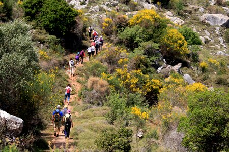 Ada chios nature photo