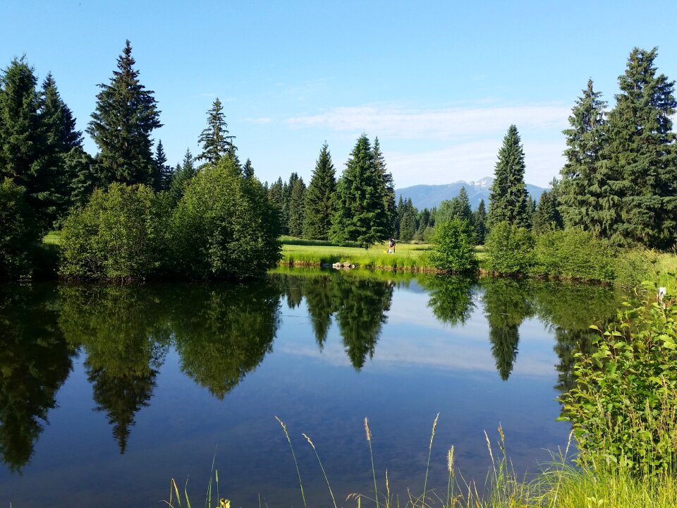 Montana wilderness