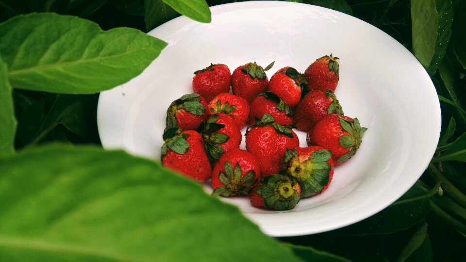 Strawberry moments green
