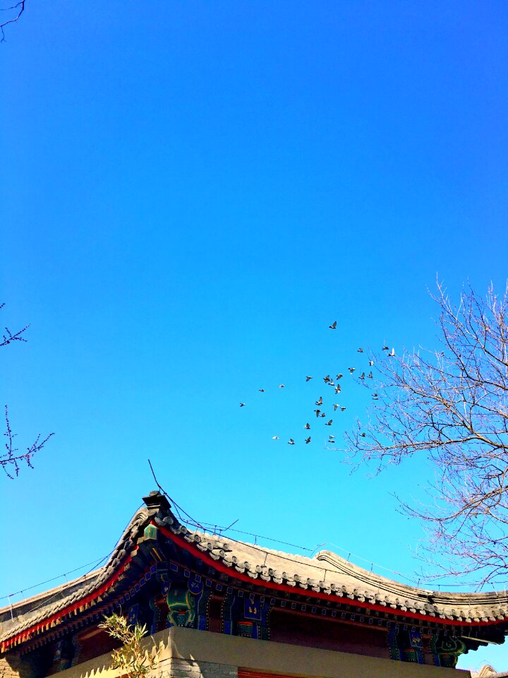 Beijing university hong kong institute of the scenery