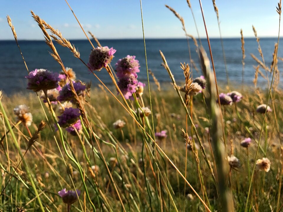 Summer coastal water
