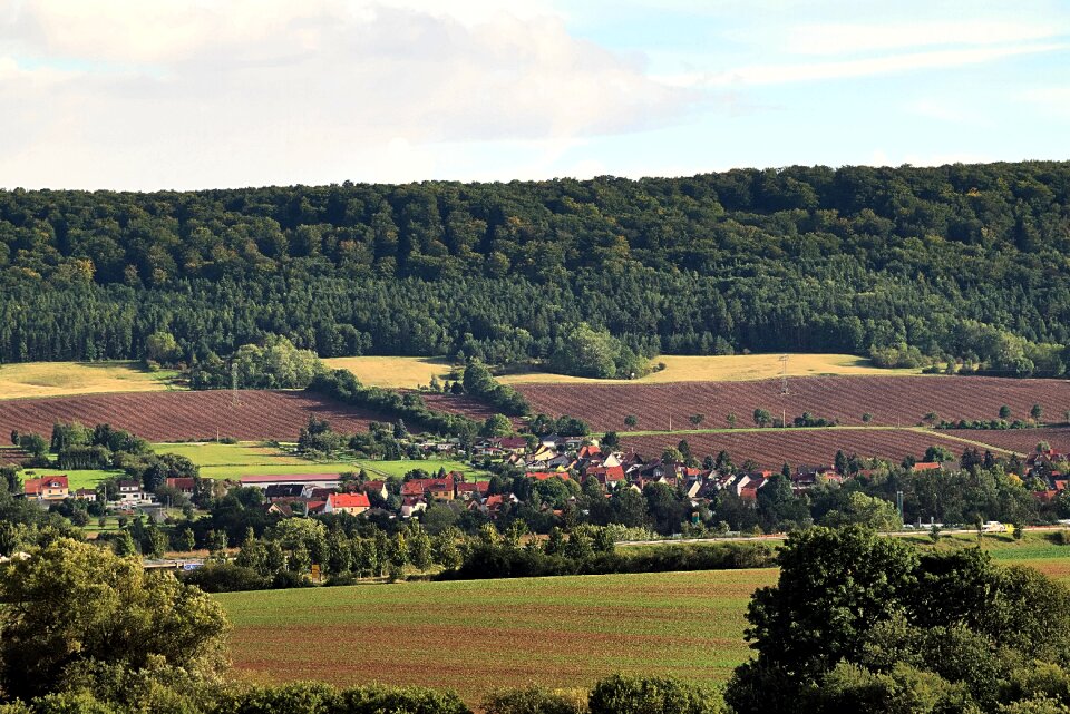 Forest reported village