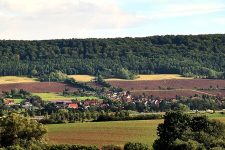 Forest reported village
