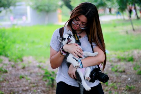 Fun animal cute