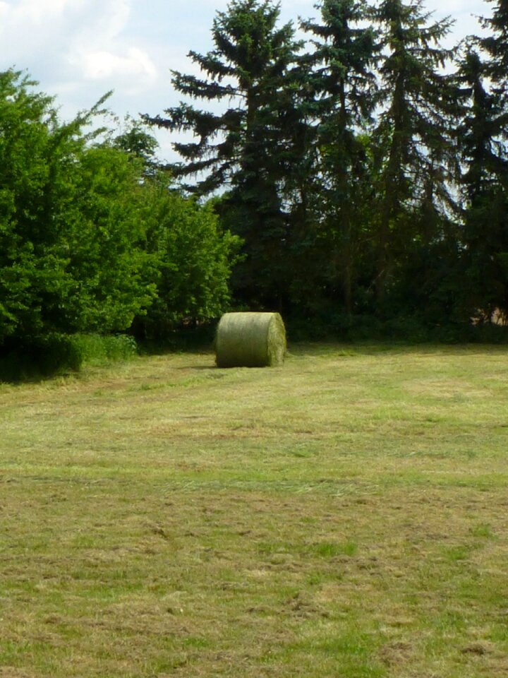 Agriculture field harvest