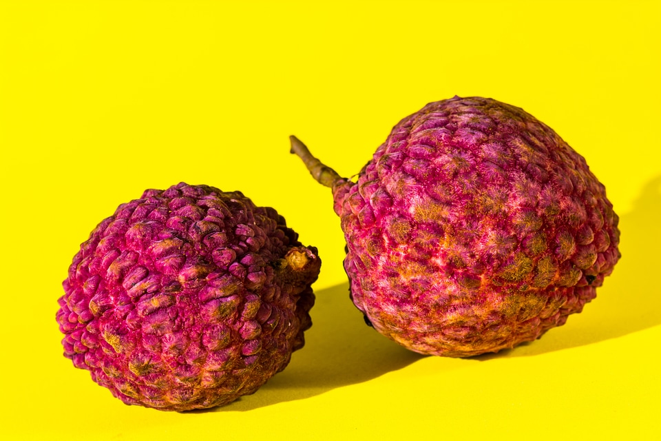 Fruit tropical red