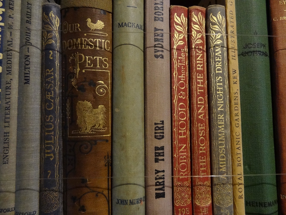 Books literature antique store