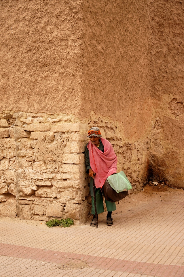 Morocco essauria walking stick