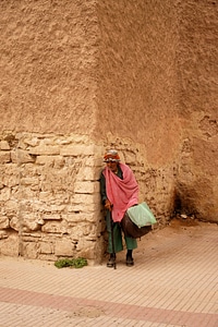 Morocco essauria walking stick photo