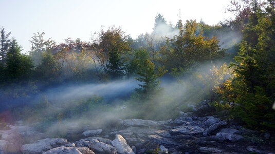 Dolly Sods Rohrbaugh Plains photo