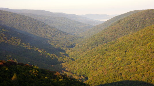 Dolly Sods Rohrbaugh Plains photo