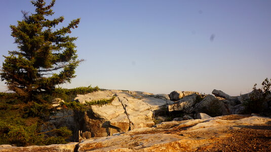 Dolly Sods Rohrbaugh Plains photo