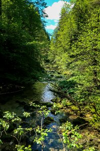 Jura mountain range river landscape, France