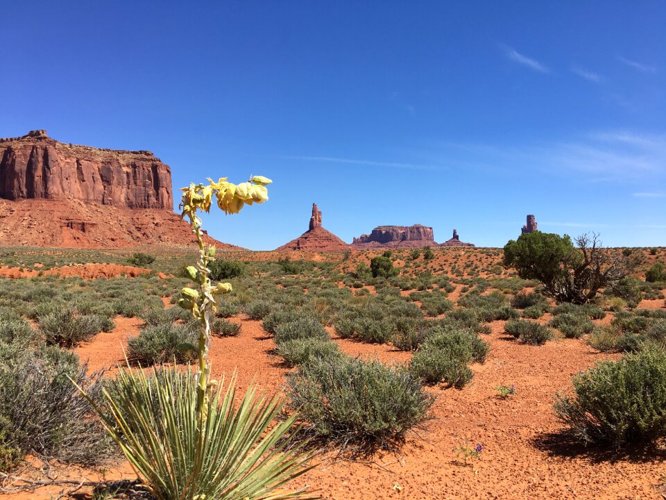 Cathedral Rock, Sedona, Arizona