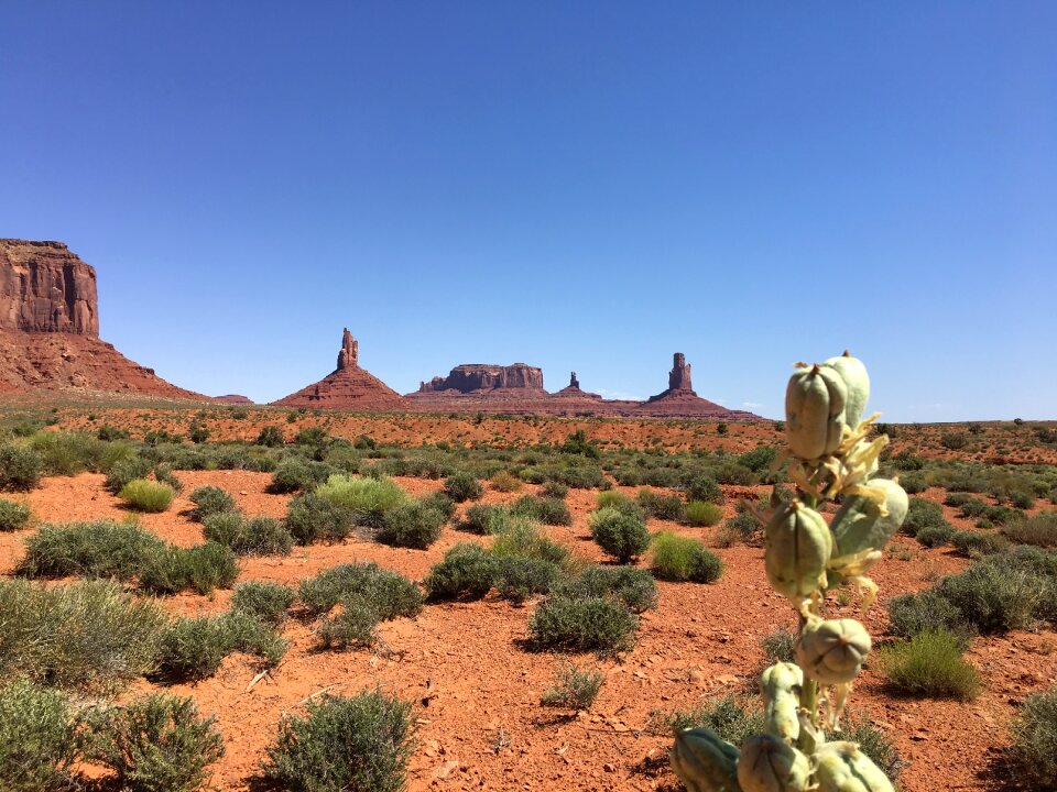 Sedona, Arizona, USA at Red Rock State Park