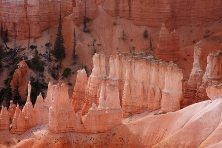 Bryce Canyon Hoodoos at sunrise, Utah photo