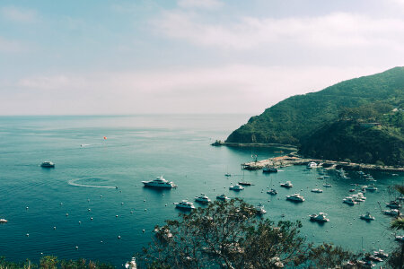 A scenic view of boats at the harbor of Catalina Island photo