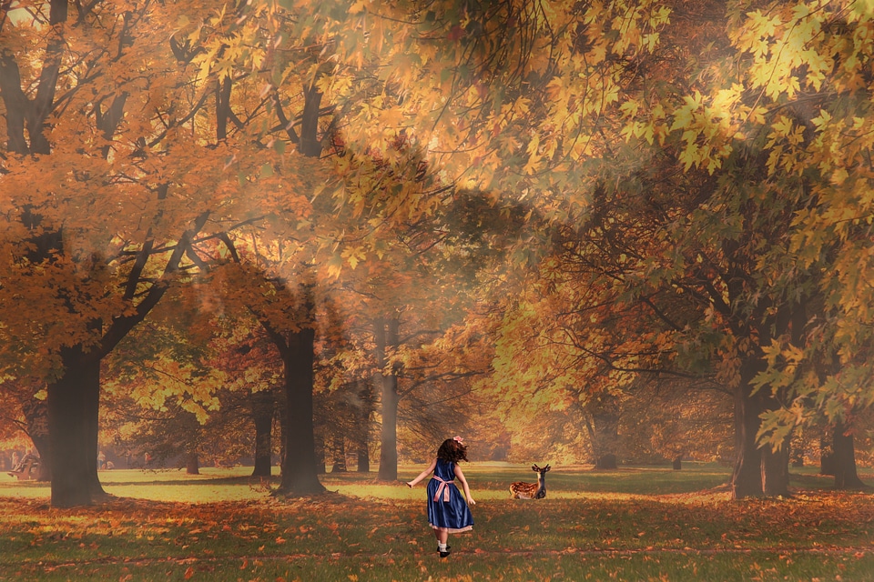 Orange yellow landscape