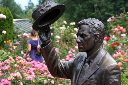 Washington Park International Rose Test Garden,