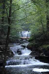 Ricketts Glen State Park