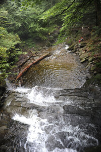 Ricketts Glen State Park