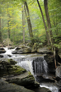 Ricketts Glen State Park
